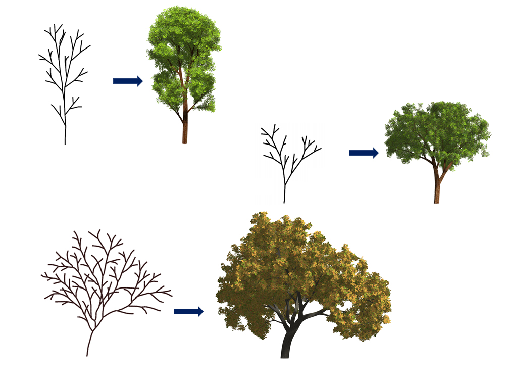 TreeRepresentativeImage